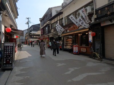 Miyajima032224 (65)