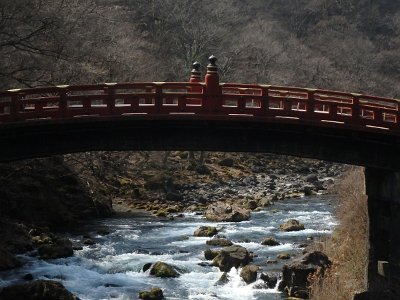 Nikko031624 (251)