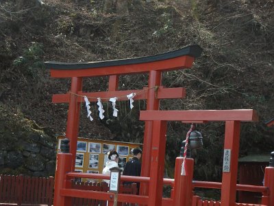 Nikko031624 (277)