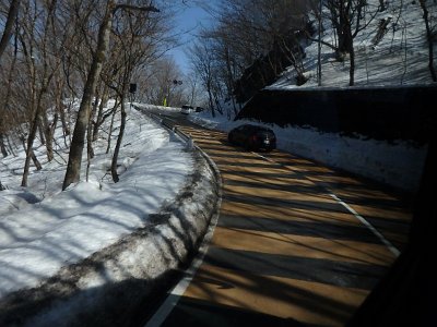 Nikko031624 (305)