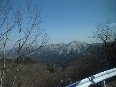 Nikko031624 (306)