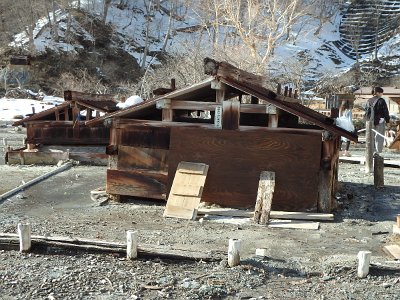 Nikko031624 (375)