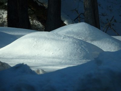 Nikko031624 (396)