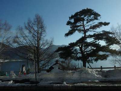 Nikko031624 (437)