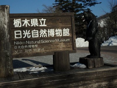 Nikko031624 (446)