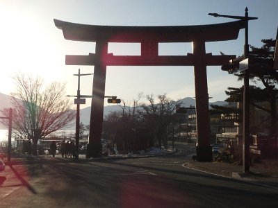 Nikko031624 (467)