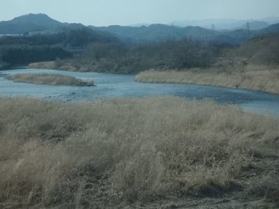 Nikko031524 (170)