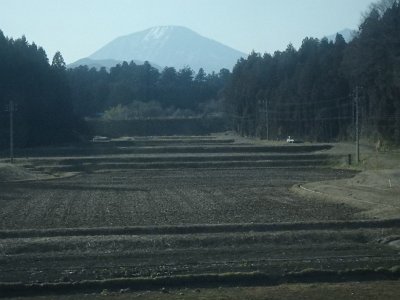 Nikko031524 (214)