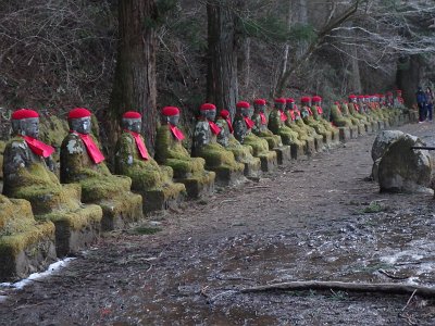 Nikko031524 (295)