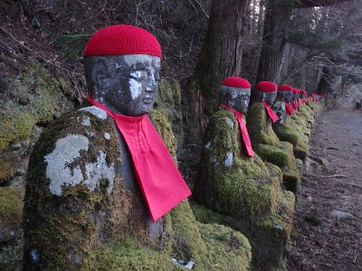 Nikko031524 (303)