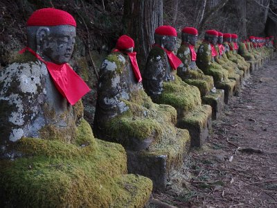 Nikko031524 (305)