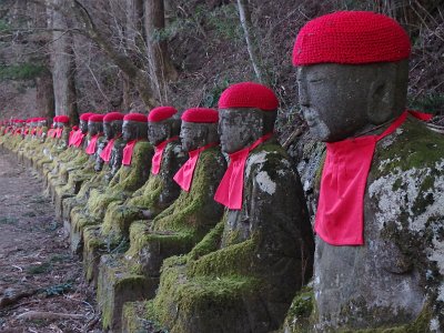 Nikko031524 (322)