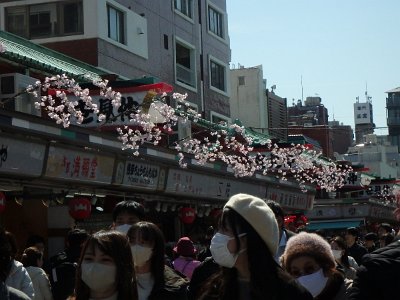 Sensoji Temple (100)