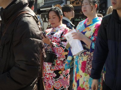 Sensoji Temple (101)