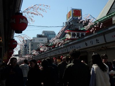 Sensoji Temple (103)