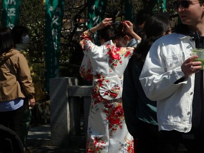 Sensoji Temple (141)