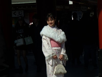 Sensoji Temple (158)