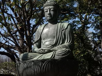 Sensoji Temple (4)