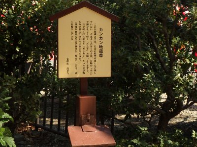 Sensoji Temple (53)