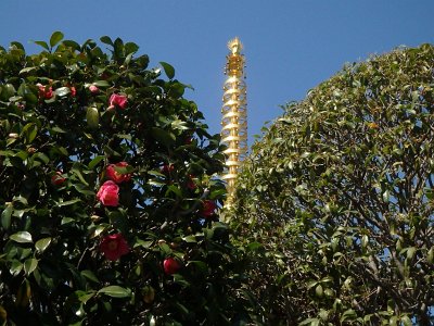 Sensoji Temple (62)