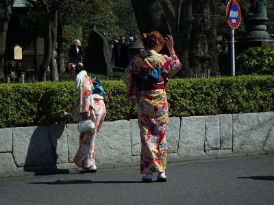 Sensoji Temple (65)