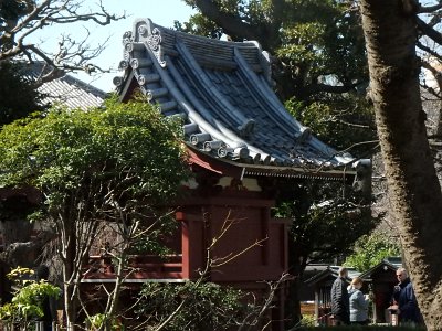 Sensoji Temple (9)