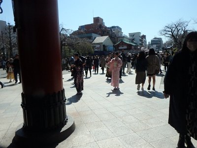 Sensoji Temple (90)