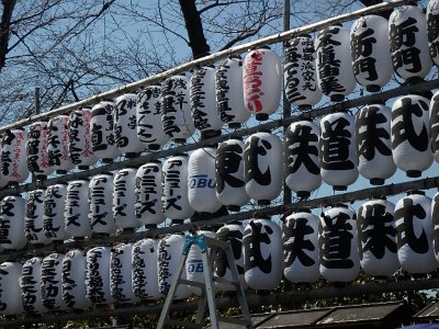 Sensoji Temple (98)