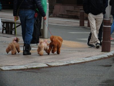 Takayama032024 (73)