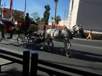 Marrakech9 (26)