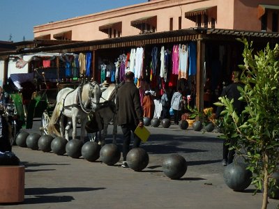 Marrakech9 (46)