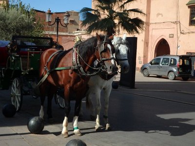 Marrakech9 (78)