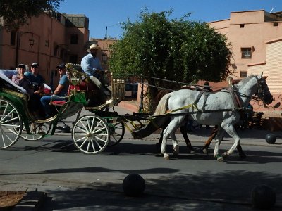 Marrakech9 (79)