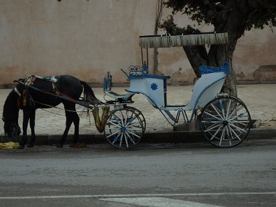 Meknes (141)