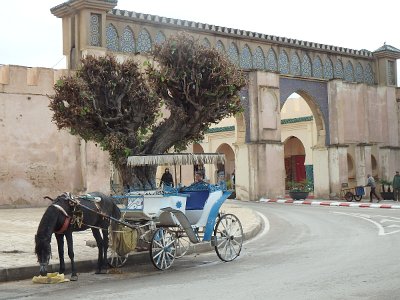 Meknes (144)