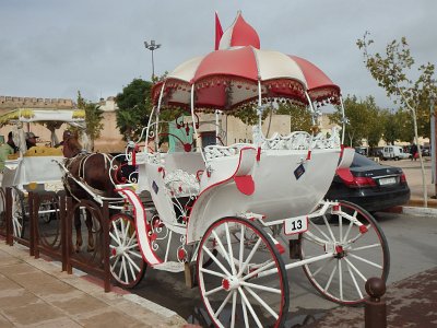 Meknes (148)