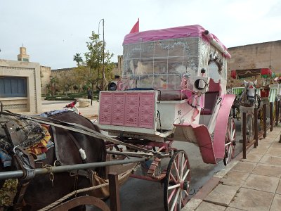 Meknes (152)