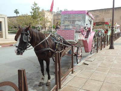 Meknes (155)