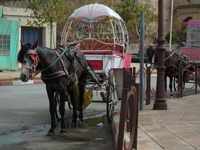 Meknes (156)