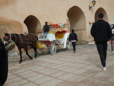 Meknes (159)