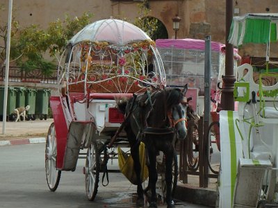 Meknes (160)