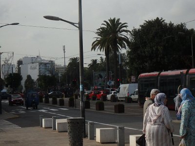 CasaBlanca (260)