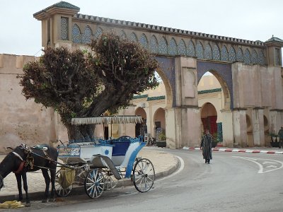 Meknes (143)