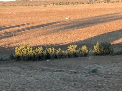 Train2Marrakech (106)