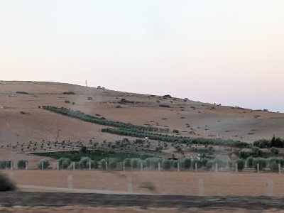 Train2Marrakech (13)