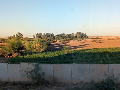 Train2Marrakech (141)