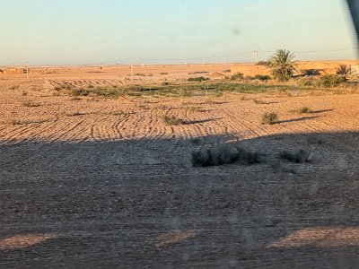 Train2Marrakech (147)