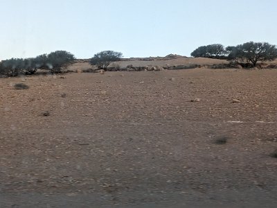 Train2Marrakech (39)