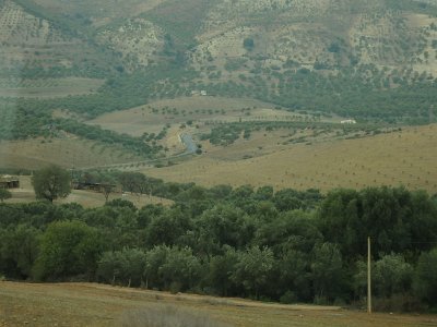 ToChaouen (100)