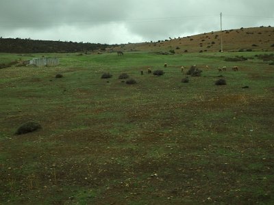 ToChaouen (238)